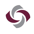 the institute of professional practice inc