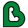 bronxcare health system