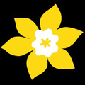 canadian cancer society