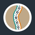 national indigenous australians agency