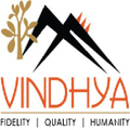 vindhya e infomedia pvtltd