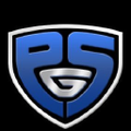 platinum group security