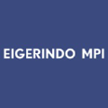 pt eigerindo multi produk industri