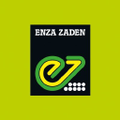 enza zaden
