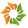 solara active pharma sciences