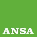 ansa