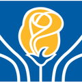 city of brampton