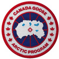 canada goose