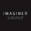 imaginex group