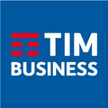 tim enterprise