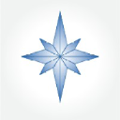 NorthStar Contracting Group, Inc Logo