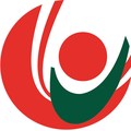 lebanese university