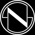 nest seekers international