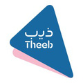 theeb rent a car