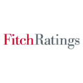 fitch group inc