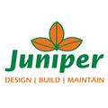 juniper