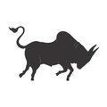 bull machines pvt ltd