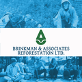 brinkman reforestation ltd