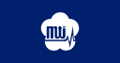mti microelectronics technology inc
