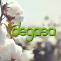 protec degasa