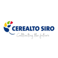 grupo siro