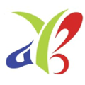 young brand apparel pvt limited