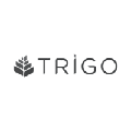 grupo trigo
