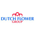 dutch flower group