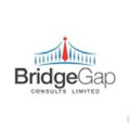 bridgegap consults limited