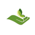 capitol care inc