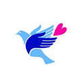 community hospice health services