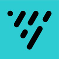 visier inc