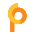 pioneer credit limited