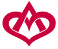 holy angels inc