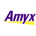 amyx inc