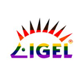 igel technology