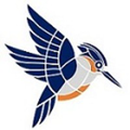 kingfisher systems inc