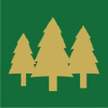 the cedars
