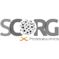 scorg international consulting pvt ltd