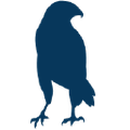 bluehawk consulting