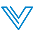 visionary integration professionals vip