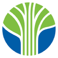 learning tree international