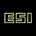 engineered structures inc esi
