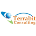 terrabit consulting