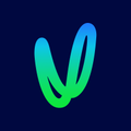 vector limited
