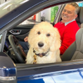 bert ogden auto group