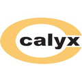 calyx chemicals pharmaceuticals ltd