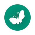 meritnationcom