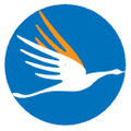 teamglobal logistics pvt ltd