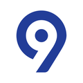 levi9 technology services